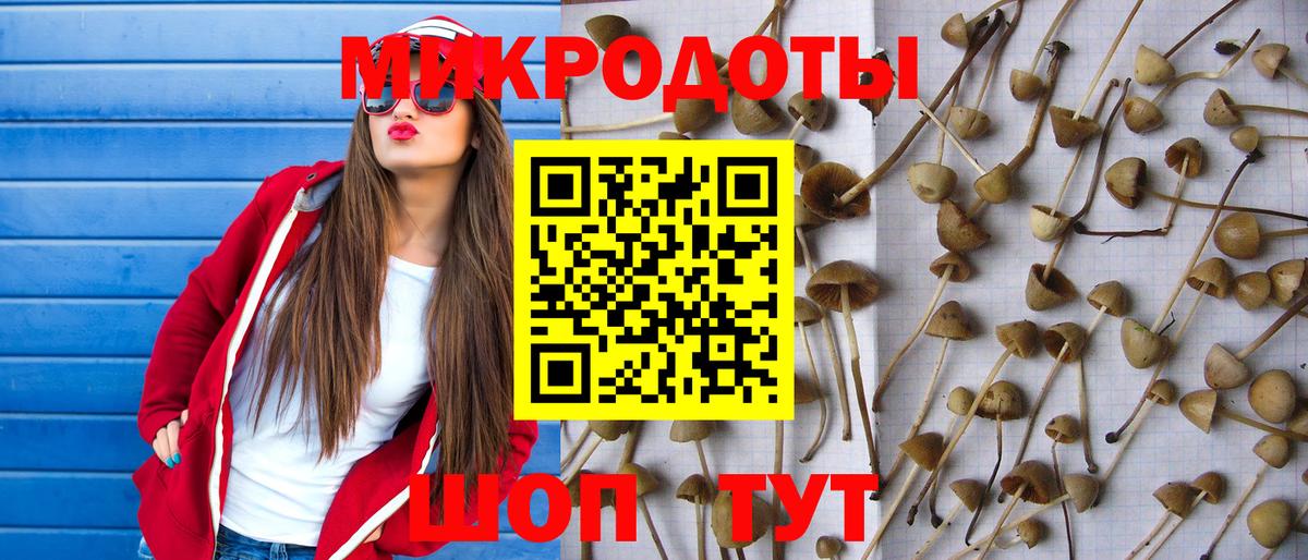 Галлюциногенные грибы Psilocybe  Псилоцибиновые грибы GOLDEN TEACHER  Вход с VPN  Кандалакша 